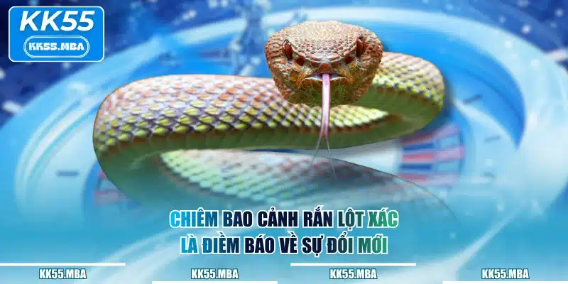 Chiêm bao cảnh rắn lột xác là điềm báo về sự đổi mới