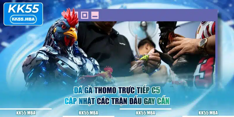 Đá gà Thomo trực tiếp C5 cập nhật các trận đấu gay cấn