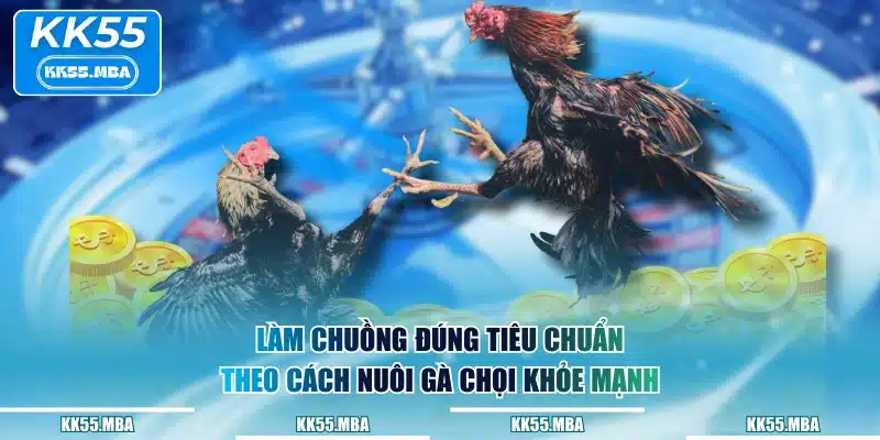Làm chuồng đúng tiêu chuẩn theo cách nuôi gà chọi khỏe mạnh